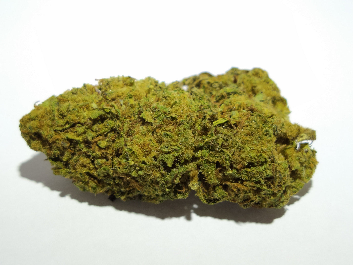 GORILLA GLUE