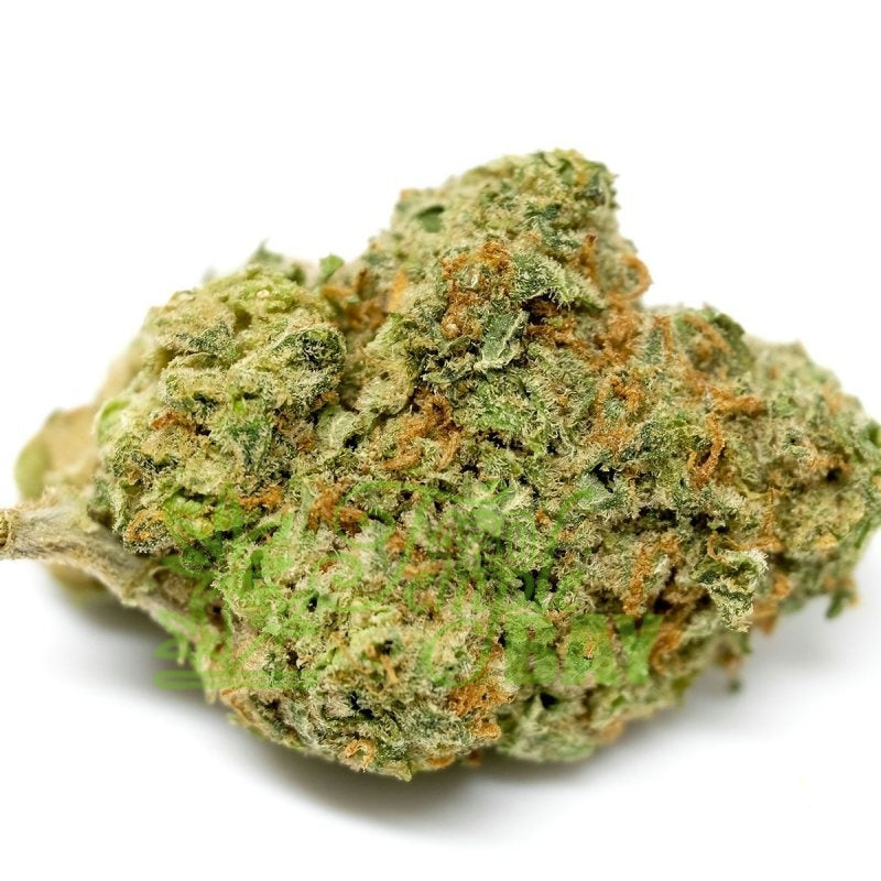 PACK MAXI 150G