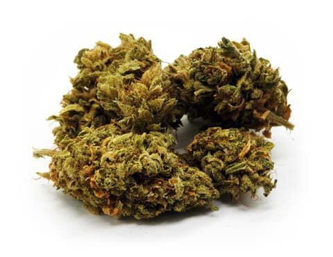 Maxi pack CBD DESTOCK ⚠️ 250 G ⚠️